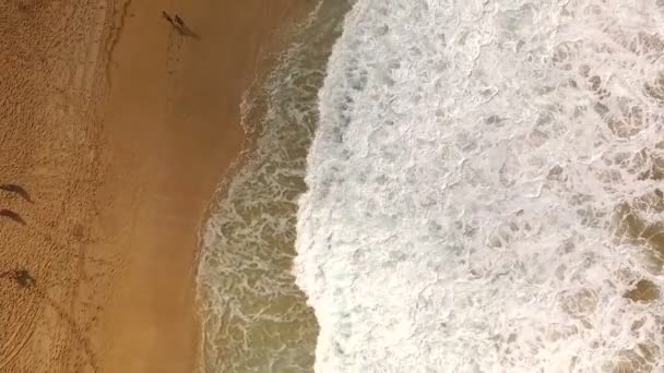 North Shore Par Promenader Havet Hawaii — Stockvideo