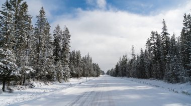 Iced Two Lane Asphalt Road Leads Through Forest Wintertime clipart