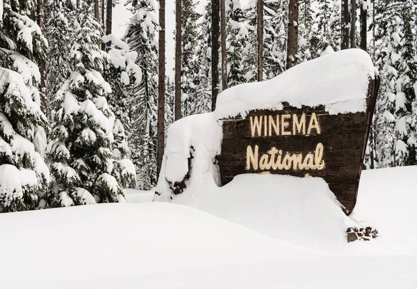 Zimních lesů, Winema národním lese uvítací cedule — Stock fotografie