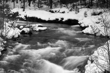 Rogue River viraj şiddetli su sel Oregon State