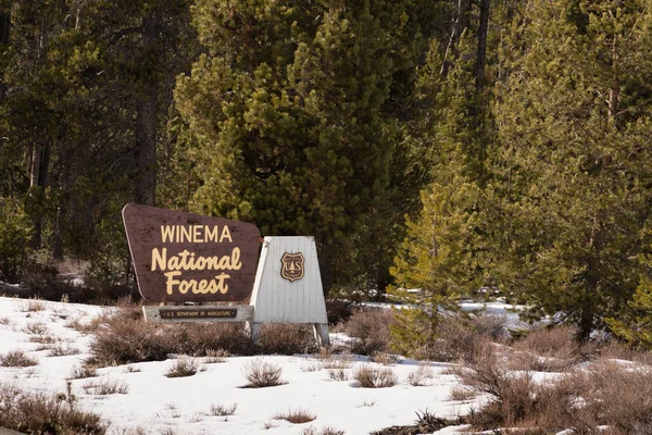 Winter Woods Winema National Forest Welcome Sign — Stock Photo, Image