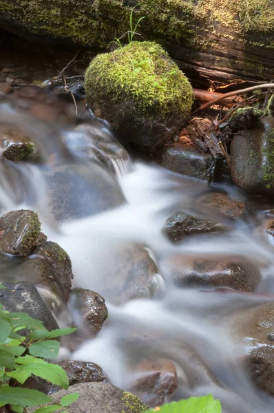 Voda teče dolů mechový potok divokých potoku vodopád — Stock fotografie