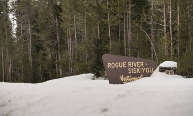 Kış Woods Rogue River Siskiyou Ulusal orman hoş geldiniz işareti