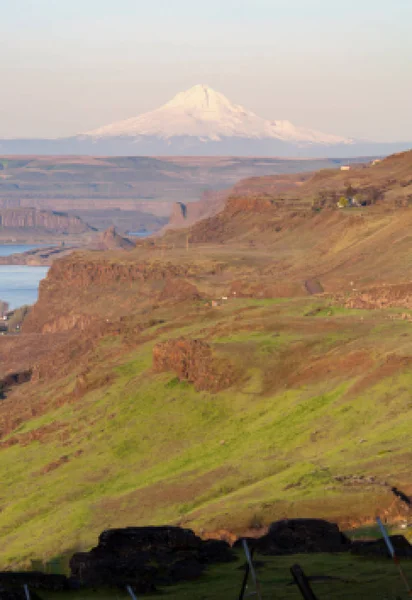 Columbia River Valley Canyon Ridge Mount Hood Cascade Range — Stock Photo, Image