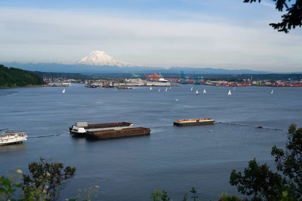 Velero Regata Commencement Bay Puerto de Tacoma Mt Rainier — Foto de Stock