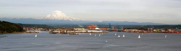 Sailboat Regatta Commencement Bay Port of Tacoma Mt Rainier — Stock Photo, Image