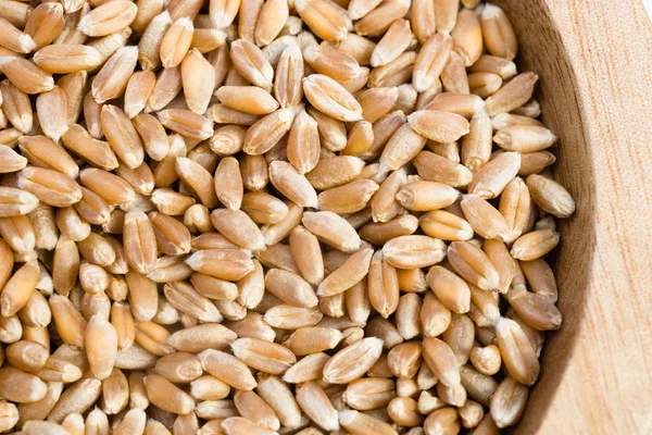 Pearl Barley Pearled Whole Grain Food Wood Ramekin — Stock Photo, Image