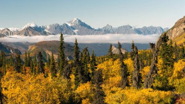 Amerika Birleşik Devletlerinde Alaska Chugach Dağları Matanuska Nehri Vadisi