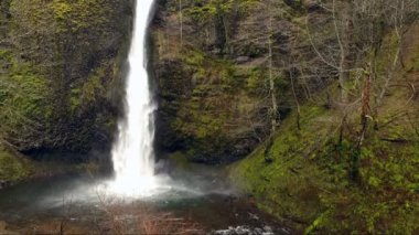Havadan görünümü Columbia River Gorge şelale yükseltmek