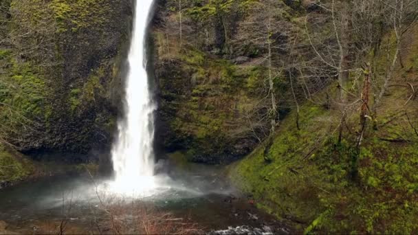 Aerial View Elevate Columbia River Gorge Waterfall — Stock Video