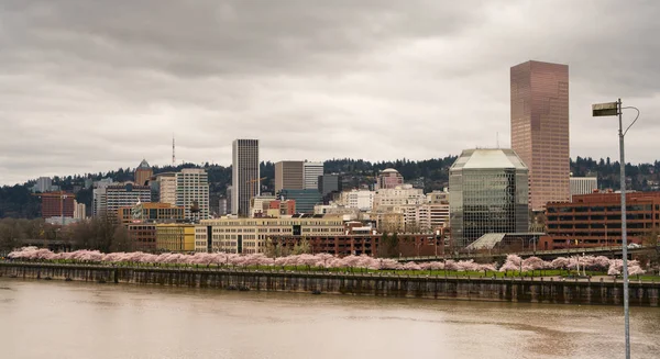 Downtown City Skyline Portland Oregon Willamette River våren blommar — Stockfoto
