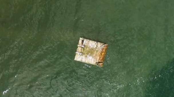 Deniz Aslanları Güneşlenmek Bir Yüzme Platformu Puget Ses — Stok video