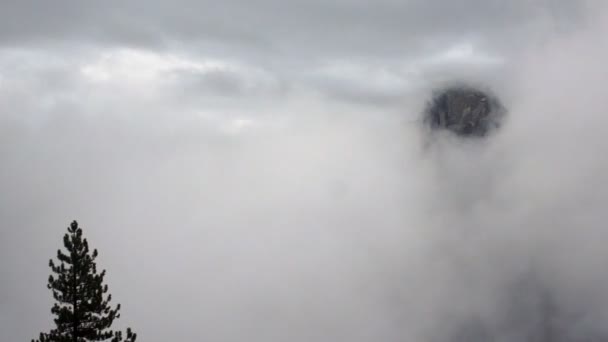 Half Dome Emerges Fog Glacier National Park — Stock Video