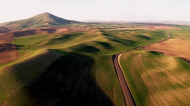 Steptoe Butte Doğu Washington Palouse Çiftliği Manzarası