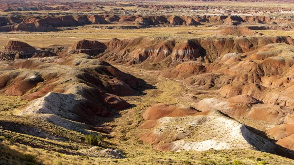 Pustkowia Formacje skalne Skamieniały Park Narodowy Puszcza Arizona — Zdjęcie stockowe