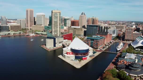 Wide Aerial Perspective Streets Buildings Inner Harbor Baltimore Maryland — стокове відео