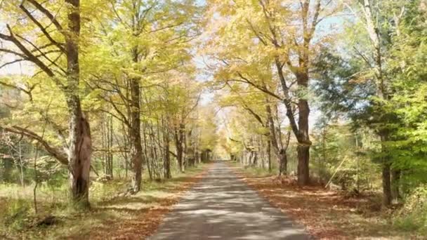 Secluded Narrow Lane Road Tree Leaves Autumn Season Fall Colors — Stock Video