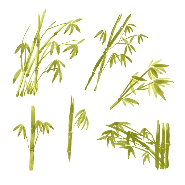 Akvarel malování bambus, izolovaných na bílém pozadí. — Stockový vektor