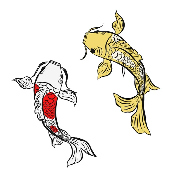 Dvojče ryby "Koi", ilustrace izolované — Stockový vektor