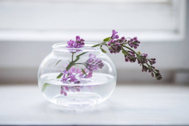 Leylak penceresinde bir vazoda