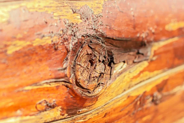 Parte della consistenza del legno — Foto Stock