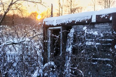 Kar ahırda terk edilmiş
