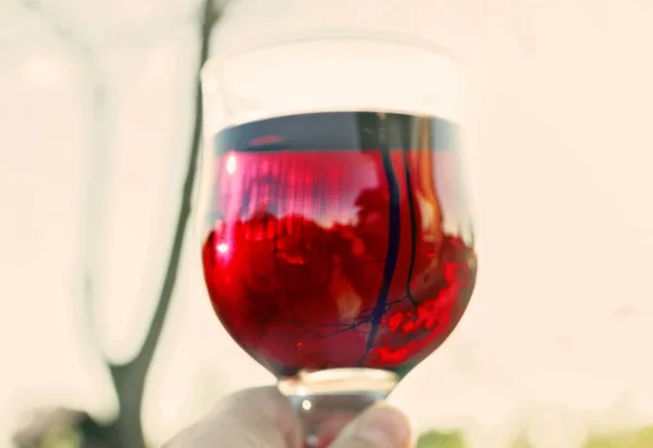 Glass of red wine in hand — Stock Photo, Image