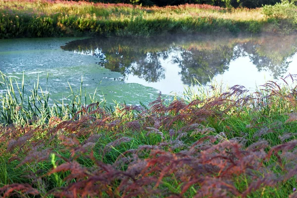 Mañana de verano sobre el agua del río — Foto de Stock