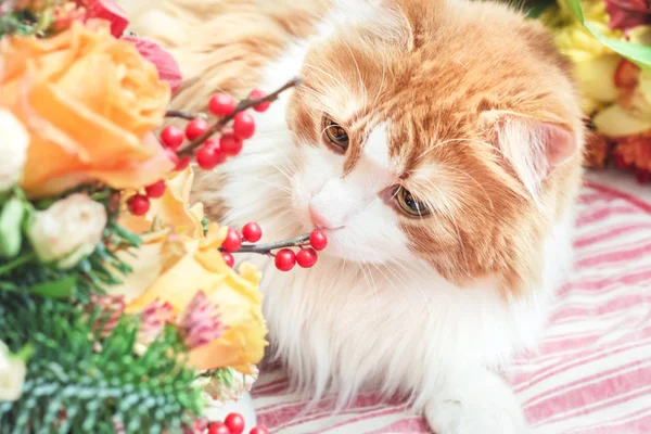 Красная кошка и букет — стоковое фото