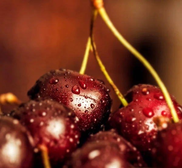 Berries of sweet cherry in drops close-up — Stock Photo, Image