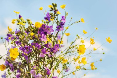 Mavi gökyüzü arka plan üzerinde çiçekler