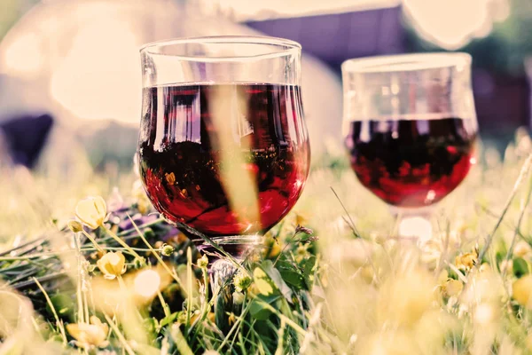 Glasses with red wine in grass — Stock Photo, Image
