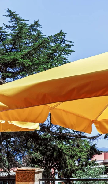Sarı Tente Güneş Şemsiyesi Mutlu Parlak Hava — Stok fotoğraf