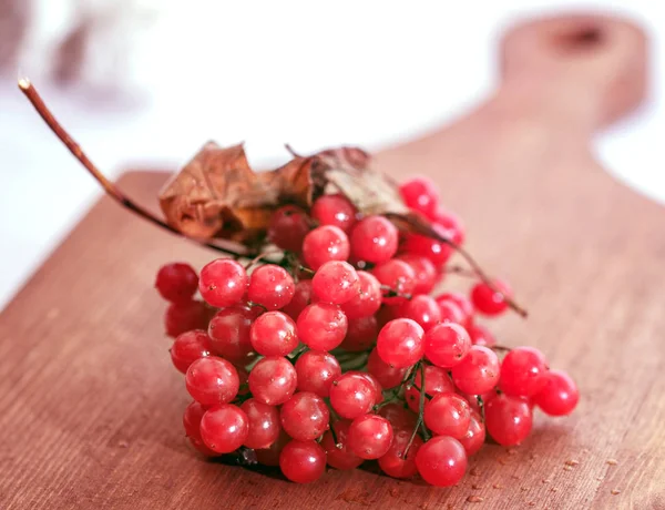 Fresh berries of viburnum — Stock Photo, Image