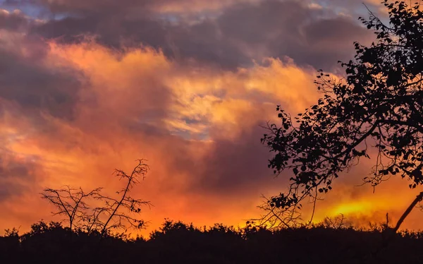 Erstaunlich Gleißender Sonnenuntergang Hübschen Abendhimmel — Stockfoto
