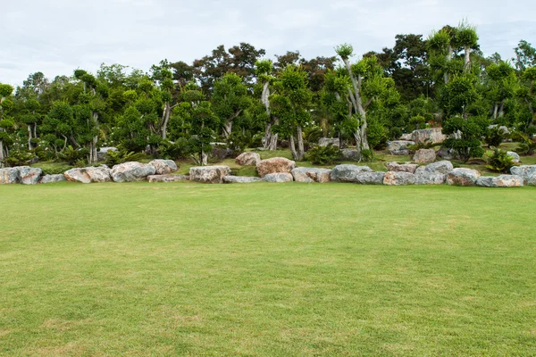 Parque de grama verde — Fotografia de Stock