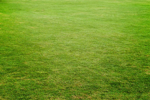 Prado verde, campo de grama para futebol — Fotografia de Stock