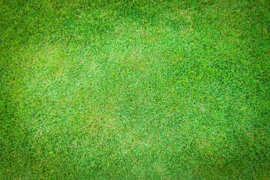 Yeşil çayır, futbol, çim doku için çim sahası