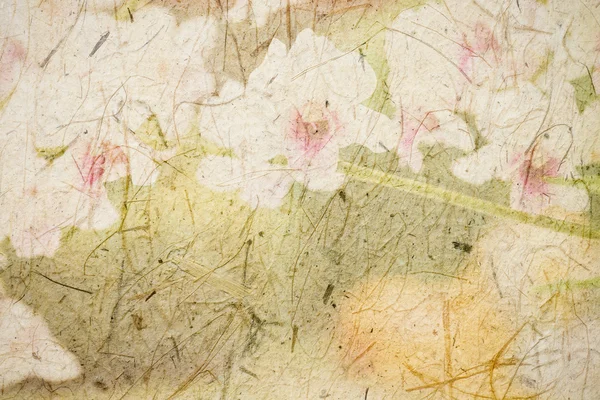 兰花花手工纸或桑树纸纹理 — 图库照片