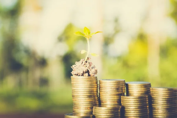 plant growing out of coins ,concept of corporate social responsibility (csr)