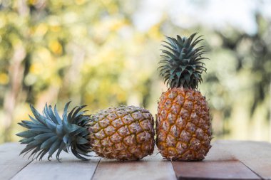 doğa arka plan ile ahşap masa üzerinde iki ananas