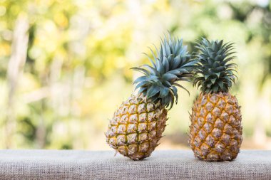 doğa arka plan ile ahşap masa üzerinde iki ananas