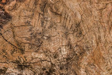 eski ahşap doku arka plan tasarımı için