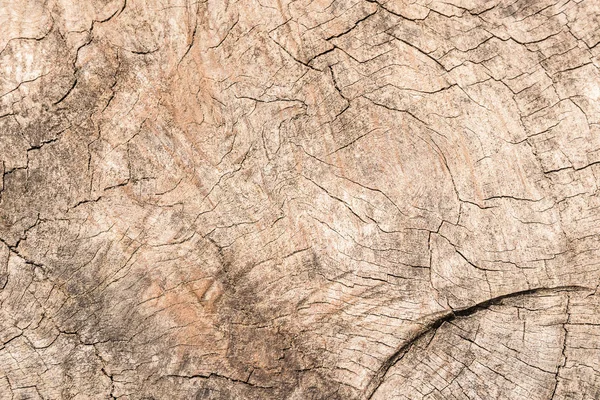 Gammal trä textur bakgrund för design — Stockfoto