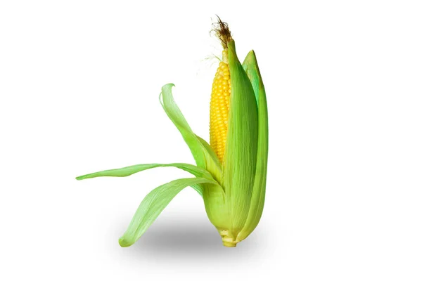 Кукурудза ізольована на білому фоні, з відсічним контуром . — стокове фото