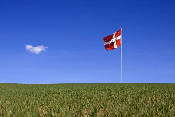 Duńskie flagi na błękitne niebo — Zdjęcie stockowe