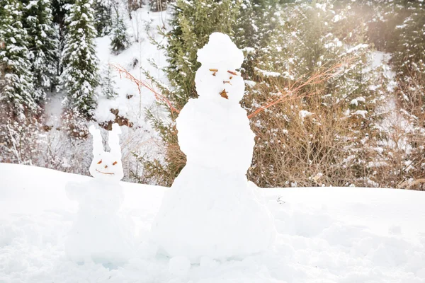 Bonito boneco de neve em pé na paisagem de inverno — Fotografia de Stock