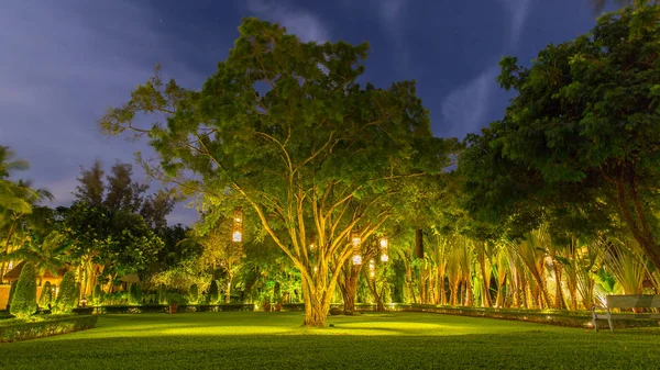 Lyktor thailändsk stil hängande från träd att dekorera. Lampa från wicker bambu från trädet för att dekorera. Thailand — Stockfoto