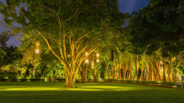 Laternen im thailändischen Stil hängen vom Baum zum Dekorieren. Lampe aus Weidenbambus vom Baum zur Dekoration. — Stockfoto