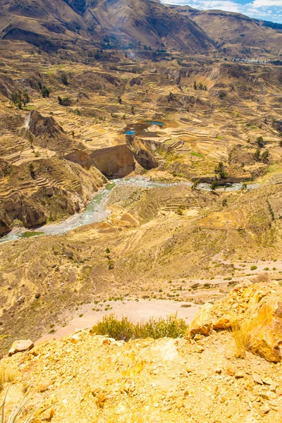 Colca canyon, peru, Zuid-Amerika. Inca's te bouwen landbouw terrassen met vijver en klif. een van de diepste ravijnen in de wereld — Stockfoto